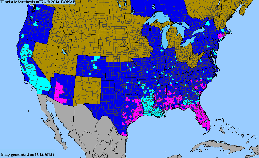 County distribution map of Eichhornia crassipes - Common Water-Hyacinth